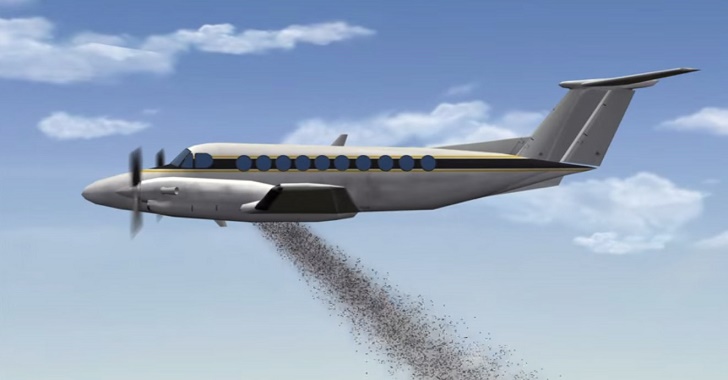 seed-bombing
