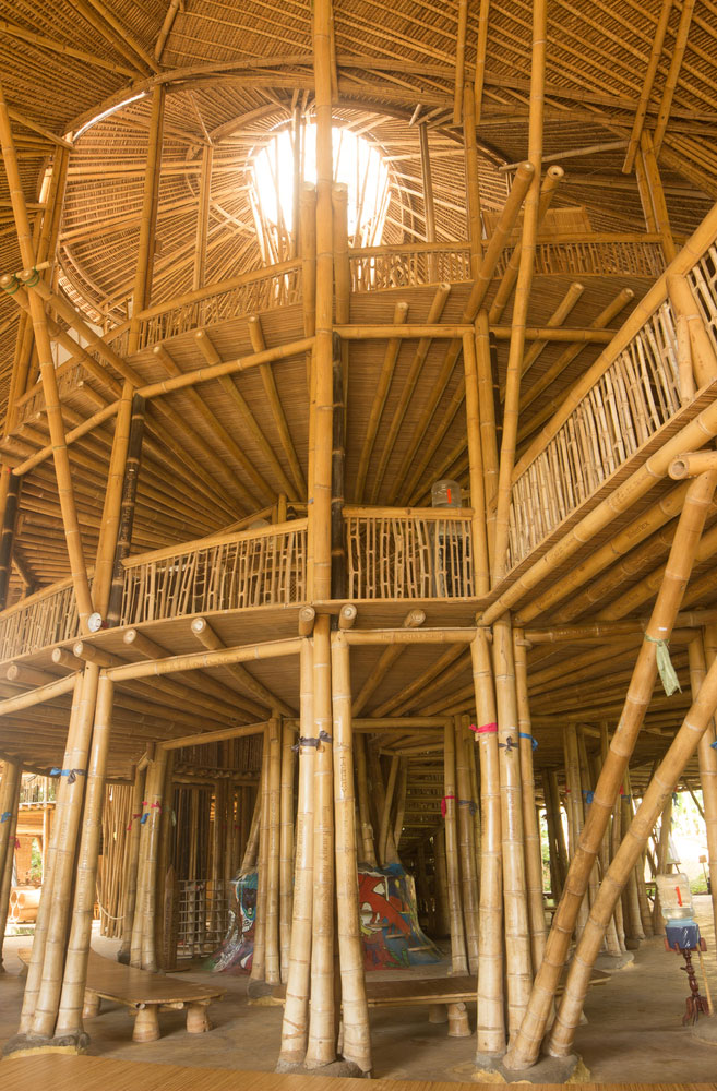 bambu2