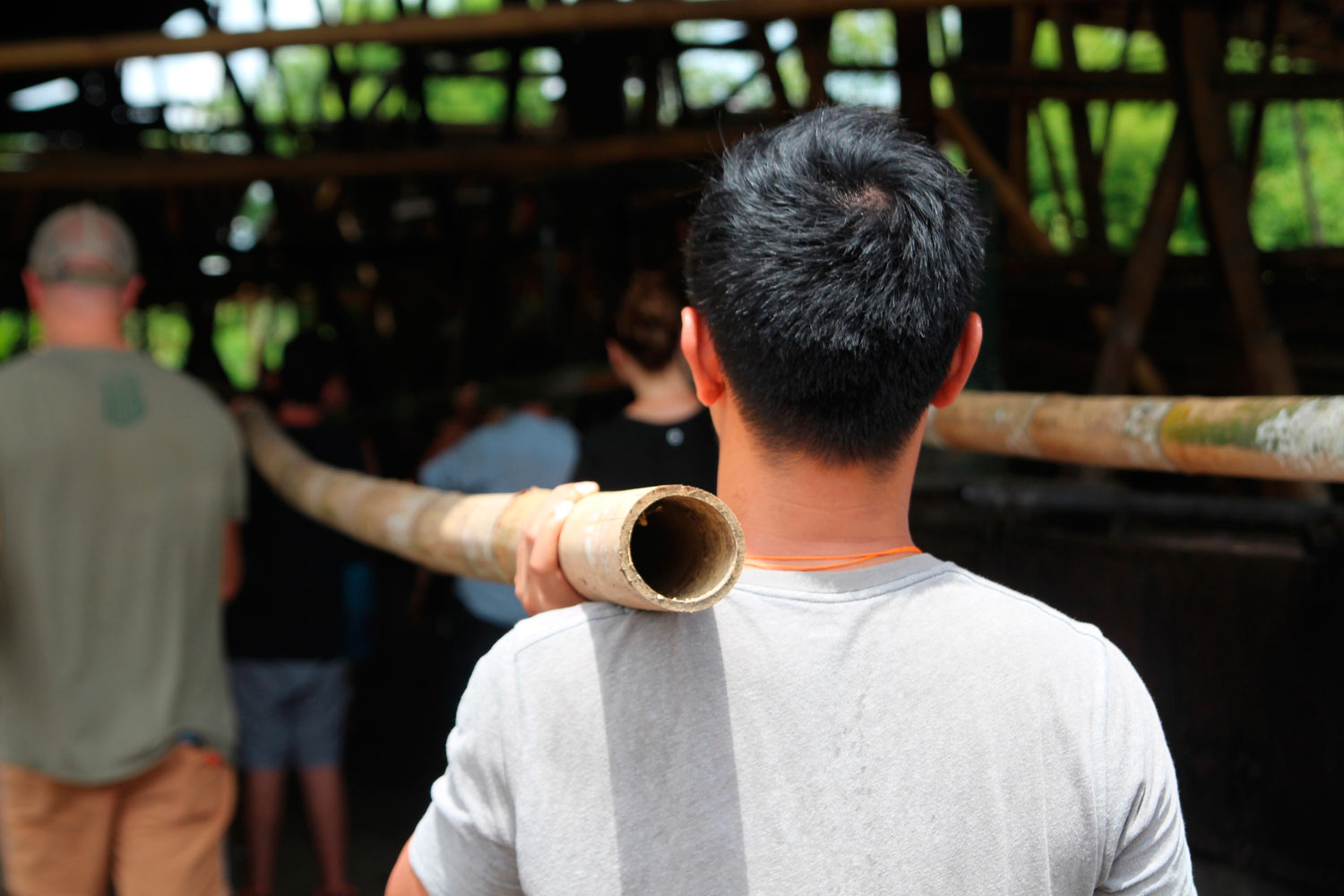 bambu3