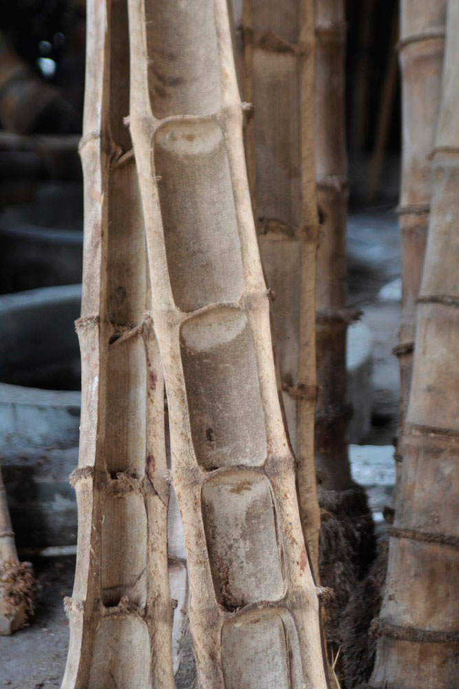 bambu5